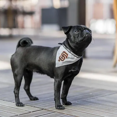 The Fairmont Heritage Place Ghirardelli Square-2